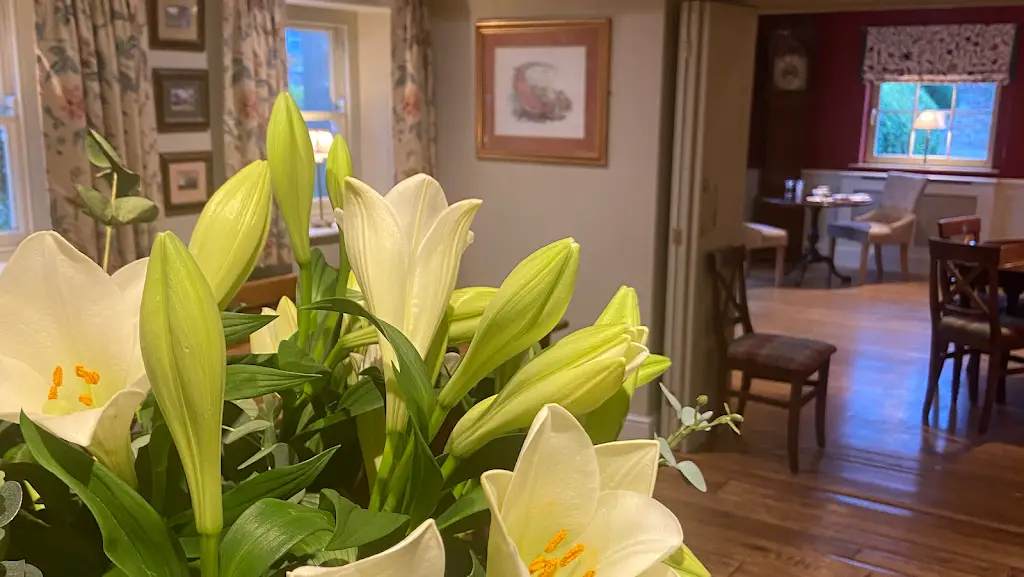 The White Bear_Masham_slider_image_3