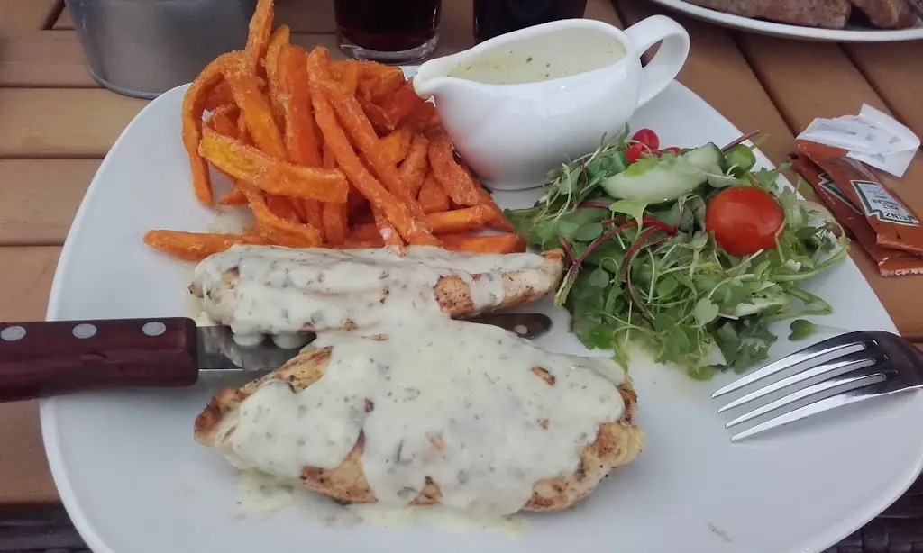 Dolphin_Melbourn_slider_image_2