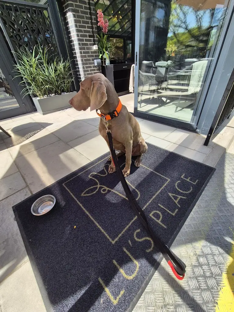 Kate Taylor_Lu’s Place_Meltham_review