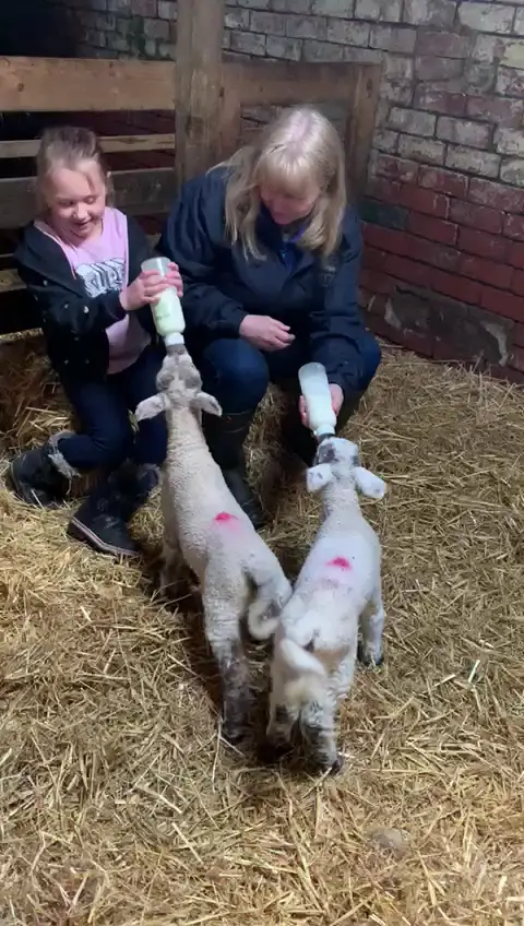 At Meltham_Meltham_slider_image_2