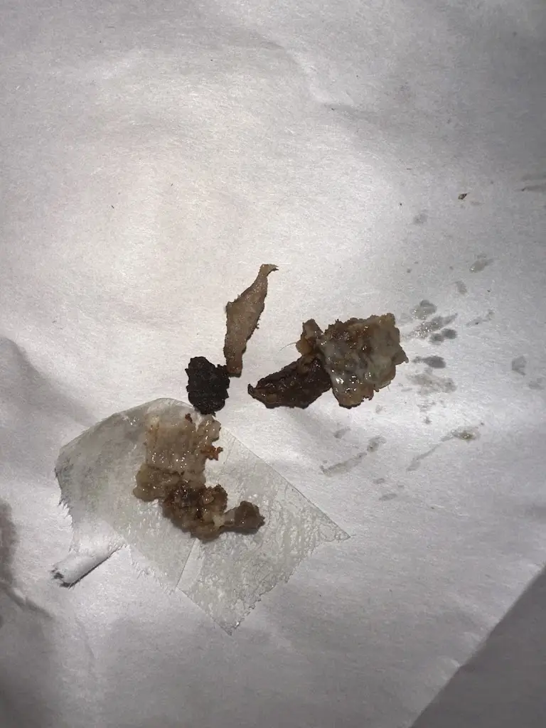 Lianne Kenyon_Barnham Kebab & Pizza House_Barnham_review