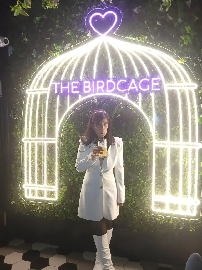 Ilonka Schmidt_The Birdcage Middlesbrough_Middlesbrough_review