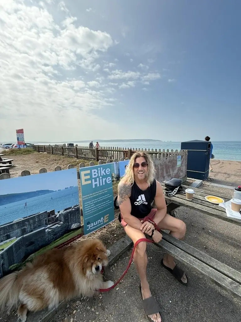 Laurence René_Needles Eye Cafe_Milford on Sea_review