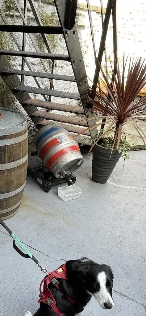 Vendule Schedule_The Bulls Head Bar and Restaurant_Milnthorpe_recensione