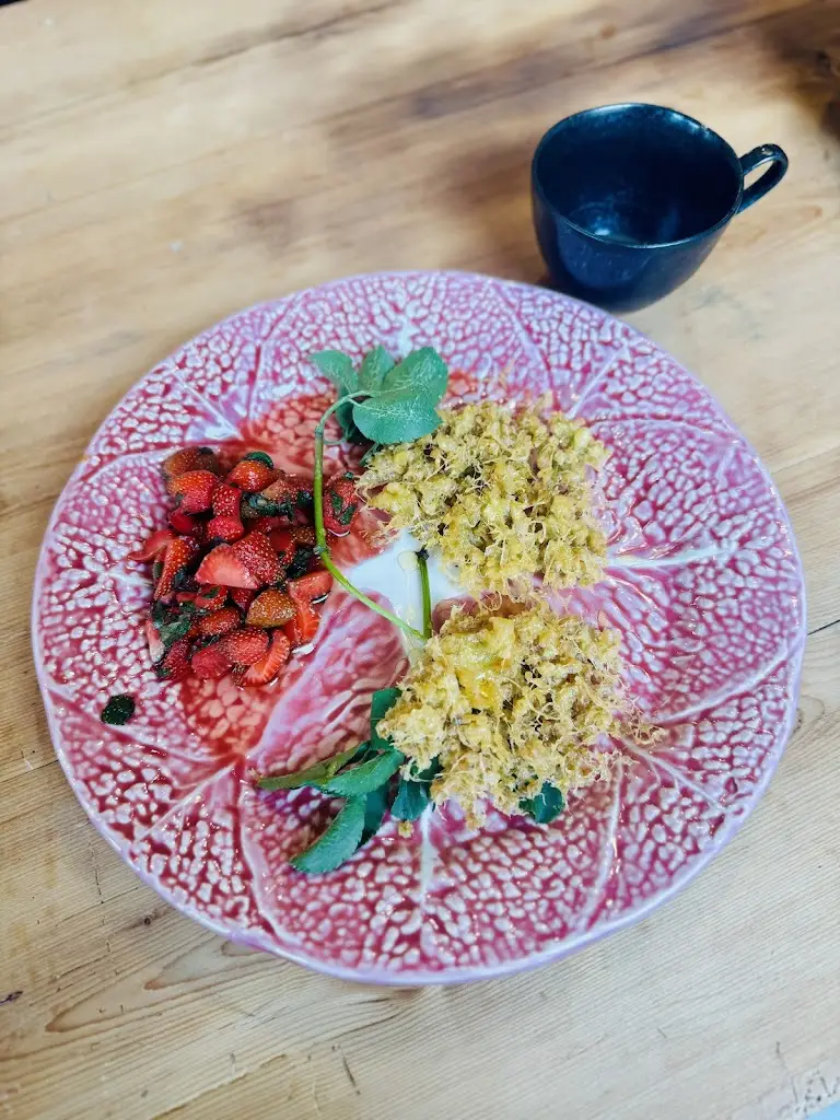 jasper Emanuel_Hippo Dartmoor_Moretonhampstead_recensione