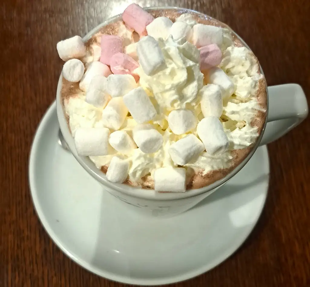 Stacey Tustin_Central Cafe_Moretonhampstead_review