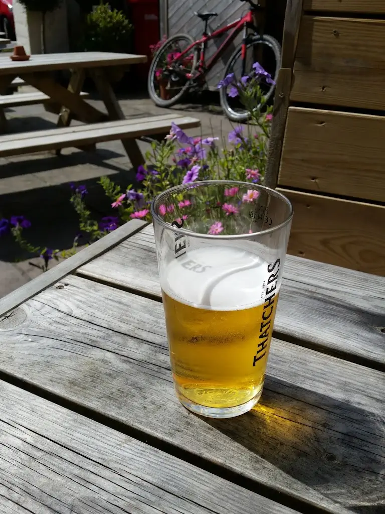 Menu_The Lemon Arms_Mylor Bridge_immagine_5