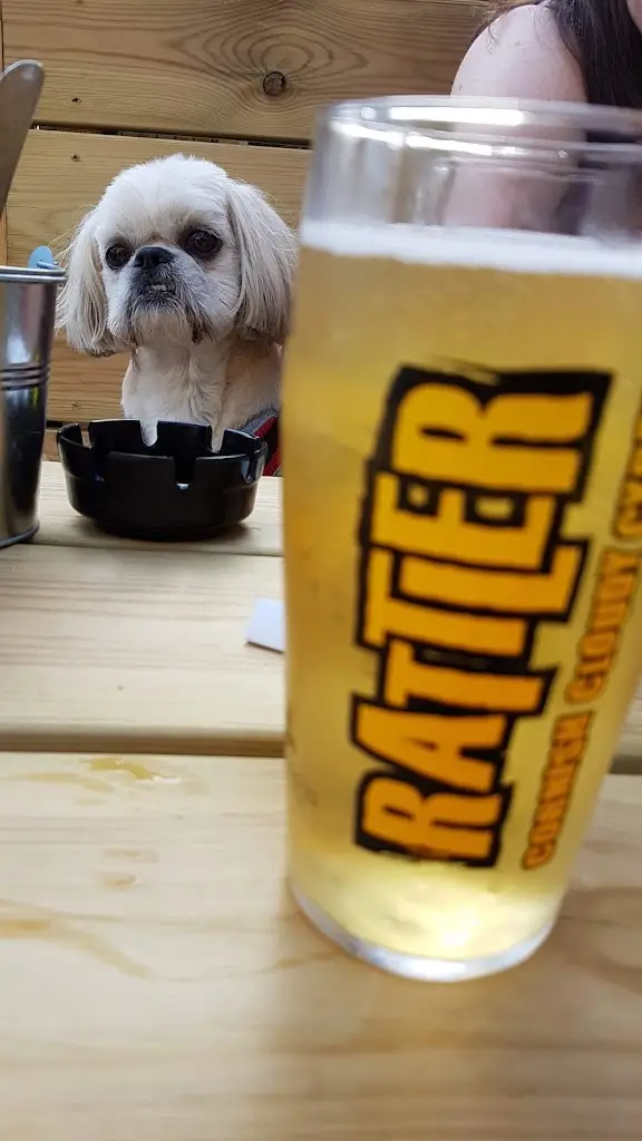 Menu_The Lemon Arms_Mylor Bridge_immagine_6