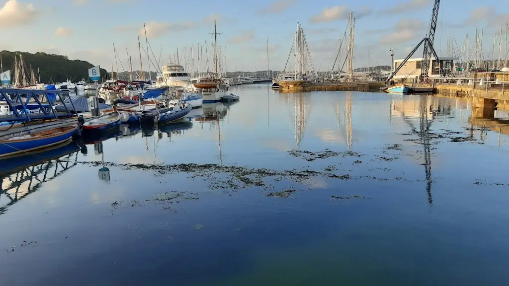 Harvey_Castaways Wine Bar_Mylor Bridge_recensione