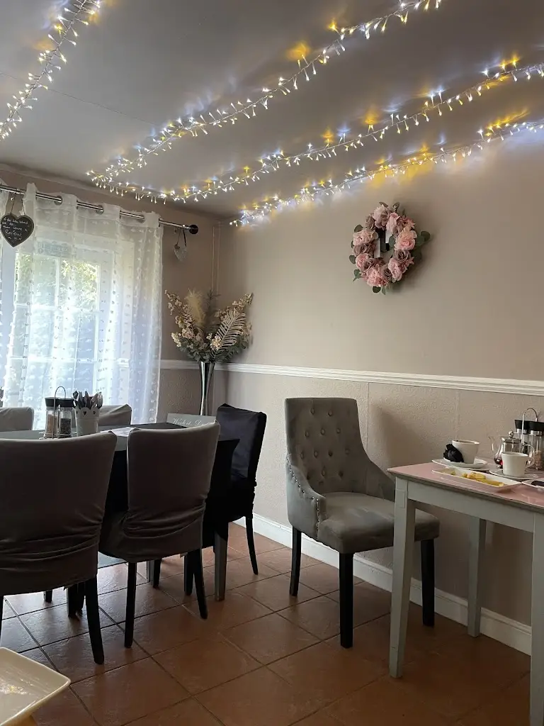 Amanda Foster_Shelly's bistro_Necton_review