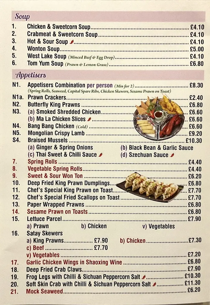 Menu_The East Garden Chinese Restaurant_Necton_immagine_2