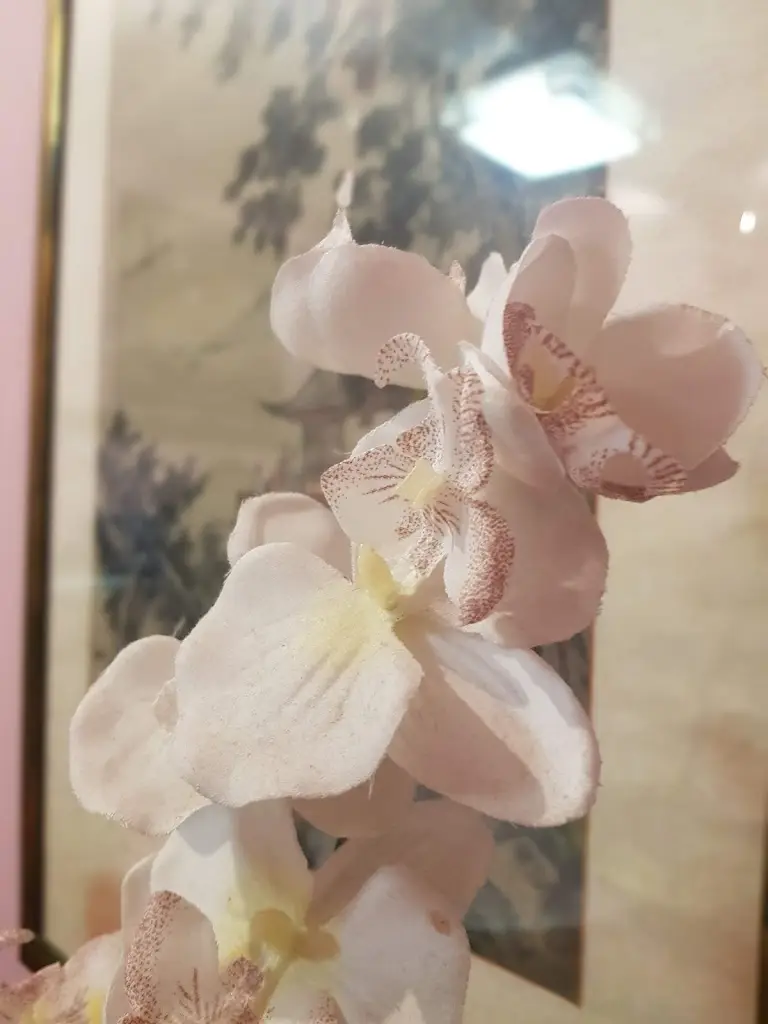 Tristan Clover_The East Garden Chinese Restaurant_Necton_recensione