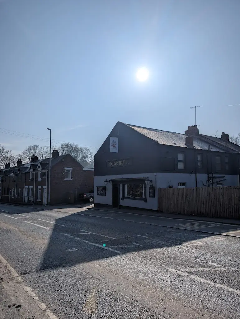 Kevin Mackenzie_The Fox and Tree_Murton_review