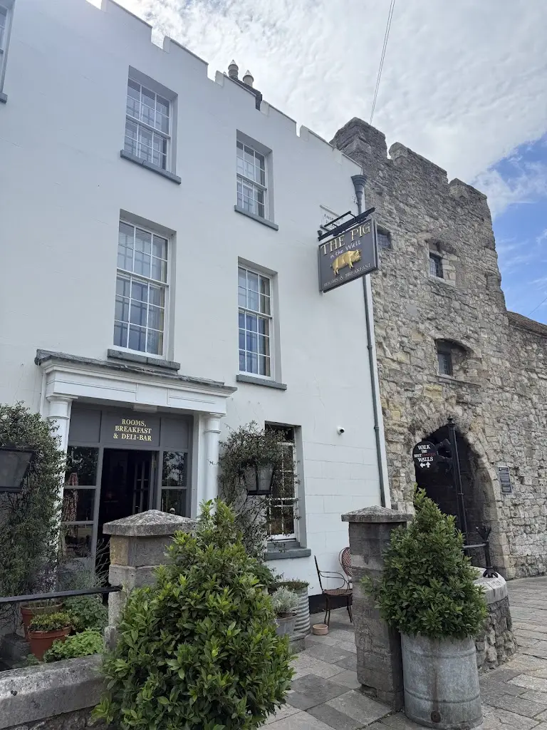 RC Plews_THE PIG-in the wall_Netley_review