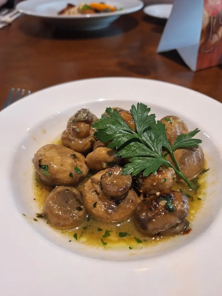 Amanda Gregory_Lollo Rosso Italia_Morpeth_review