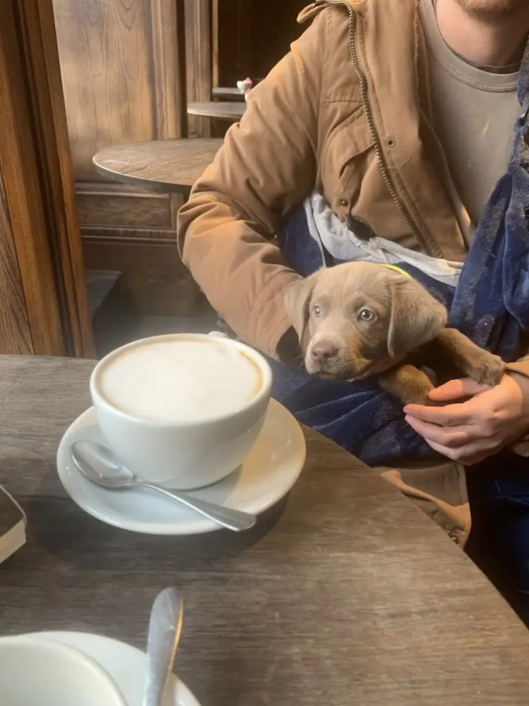 Menu_Pleased to Meet You_Morpeth_image_4