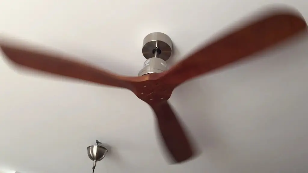 bolete_Neston_slider_image_2