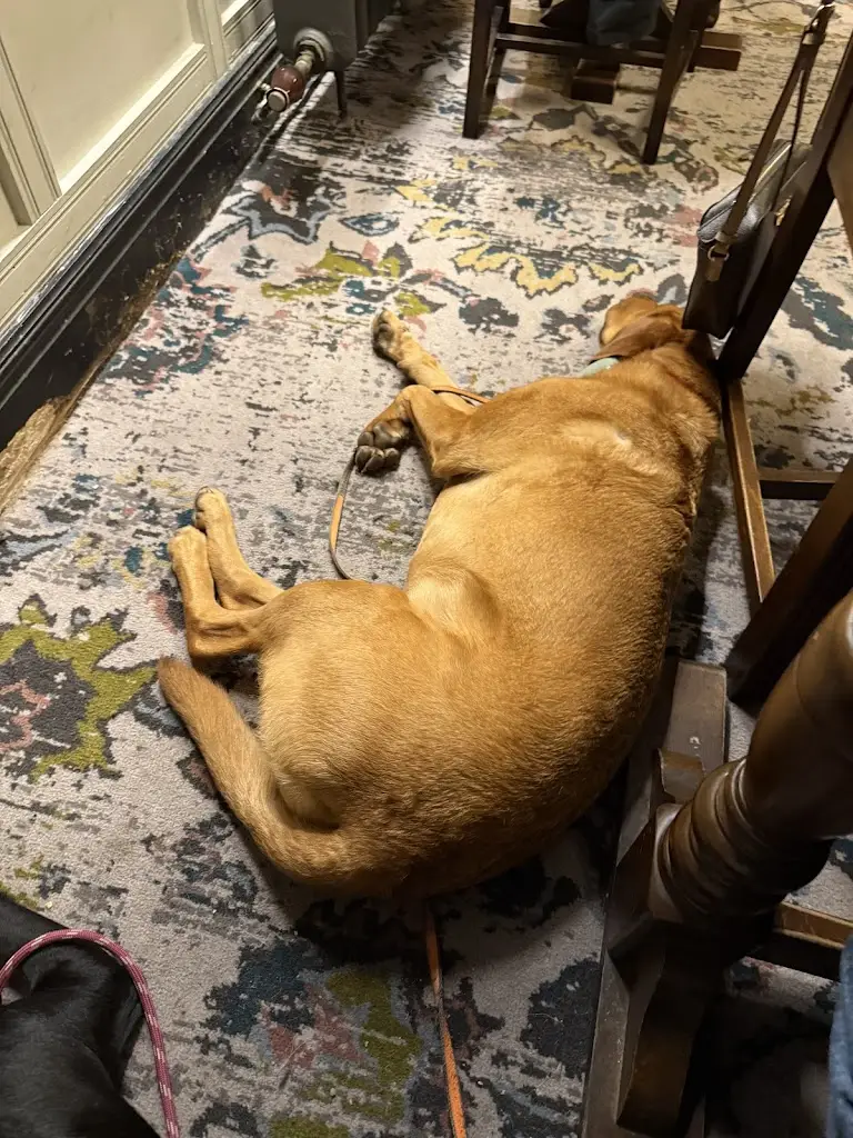 Matthew Fitzgerald_Hinderton Arms_Neston_review