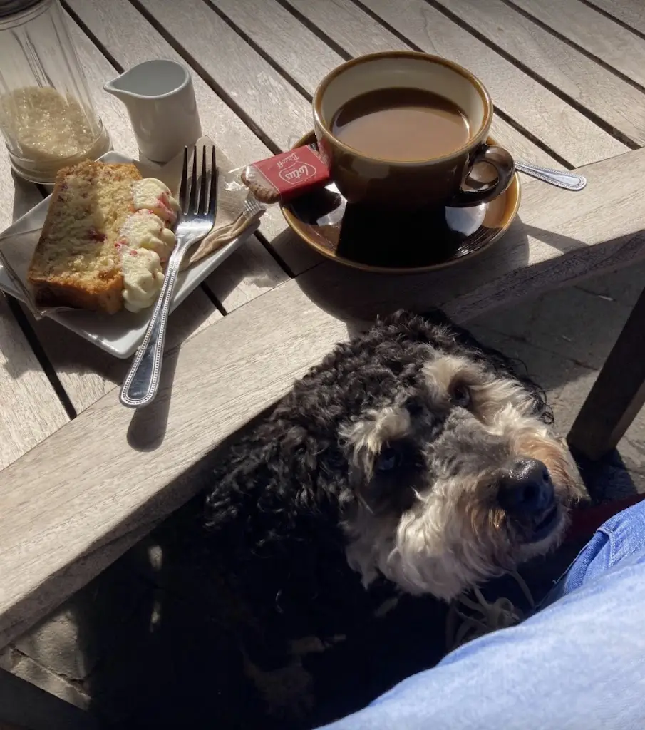 Menu_Elephant_Neston_image_6