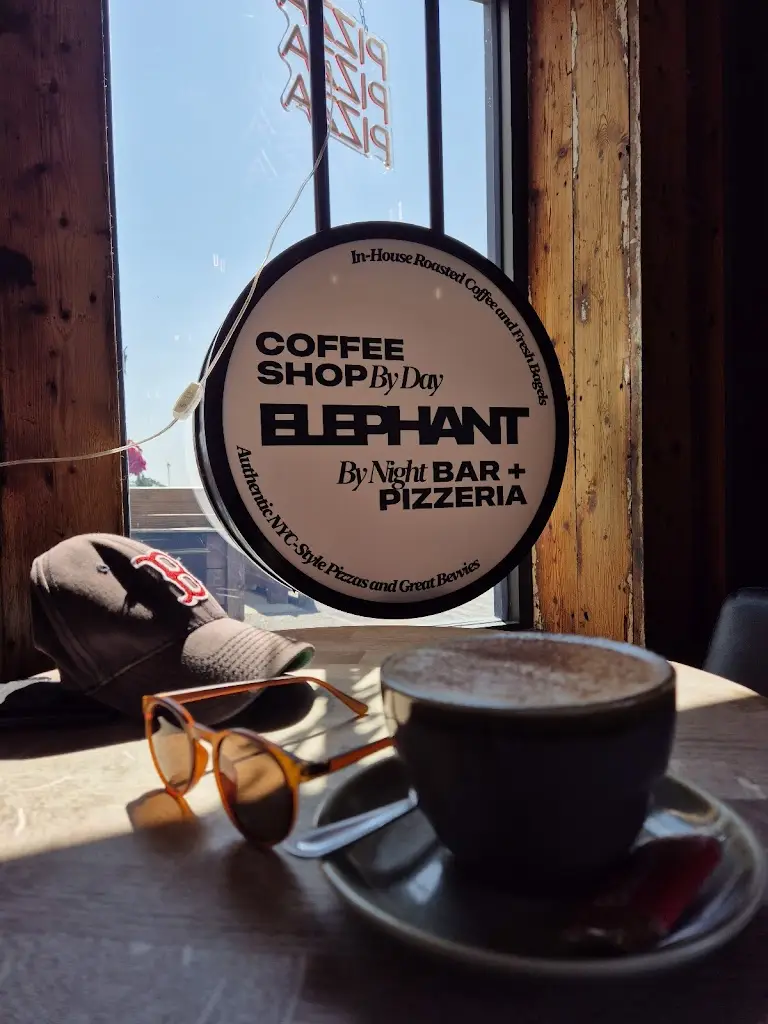 Steven Mulholland_Elephant_Neston_review