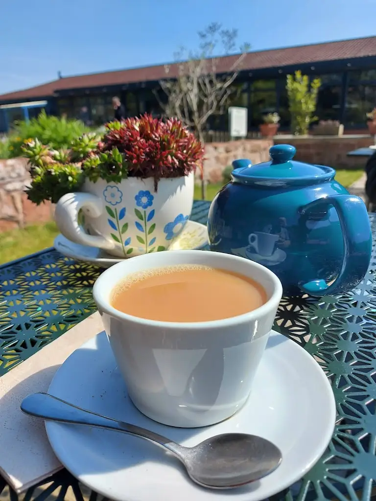 Menu_Lilypad Cafe & Water Gardens_Neston_image_6