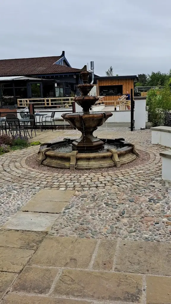 Lilypad Cafe & Water Gardens_Neston_slider_image_2