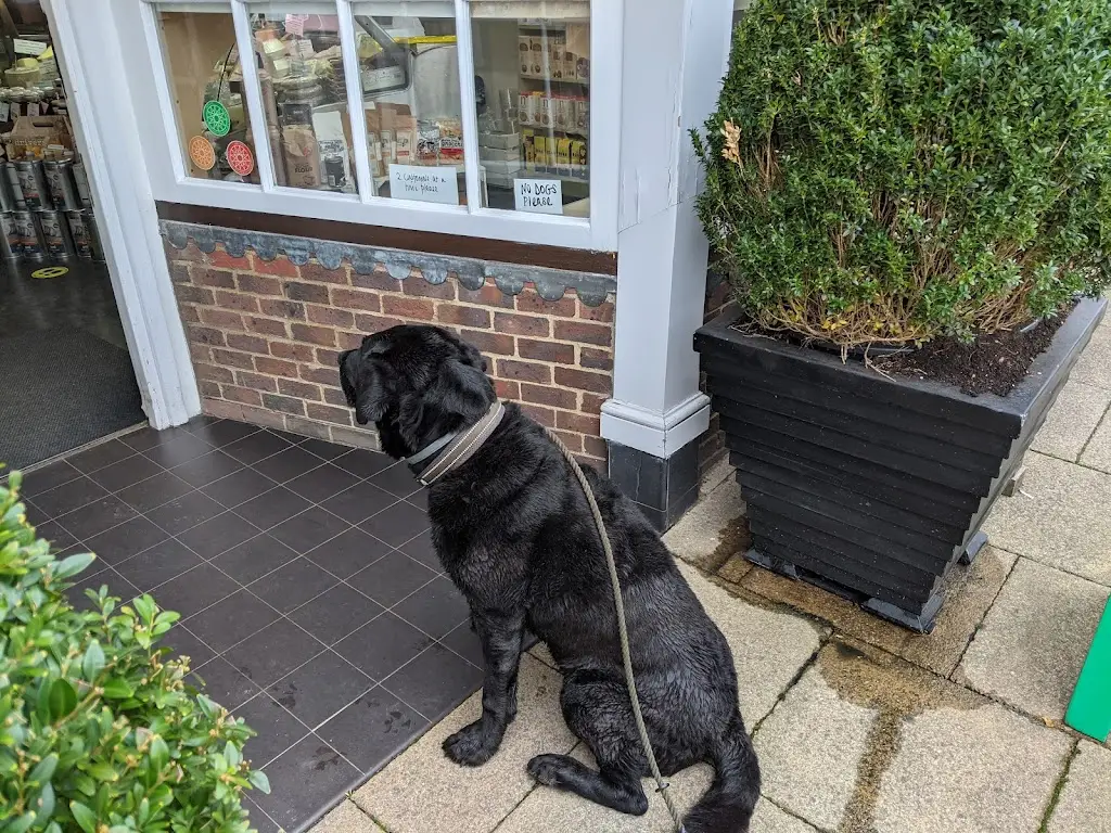 Mange2 Deli_New Alresford_slider_image_2