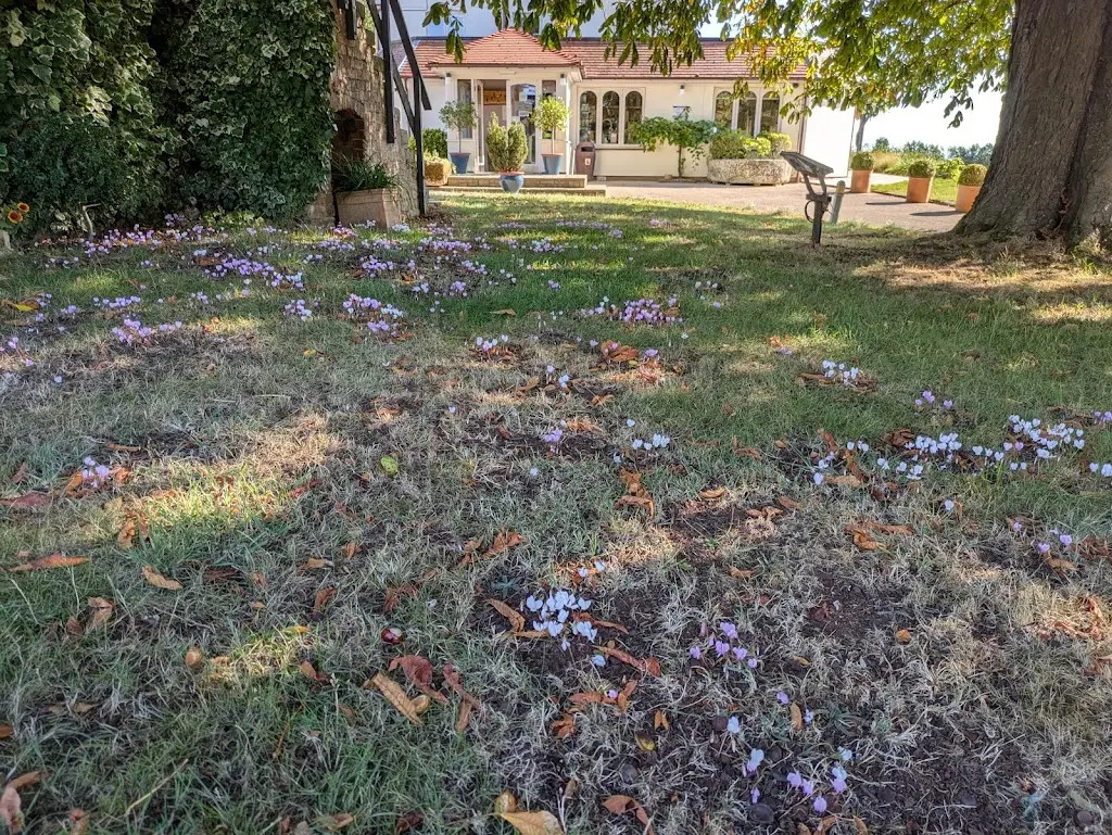 Nick Jenkins_Three Choirs Vineyards Gloucestershire_Newent_recensione