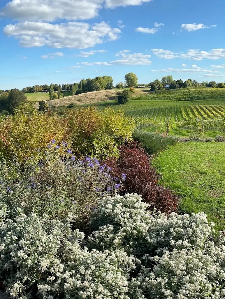 Ida Lodge_Three Choirs Vineyards Gloucestershire_Newent_recensione