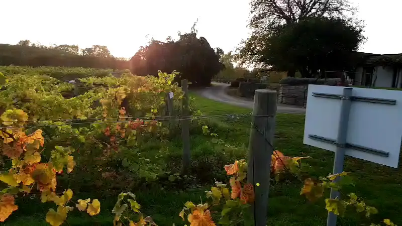 Three Choirs Vineyards Gloucestershire_Newent_slider_image_2
