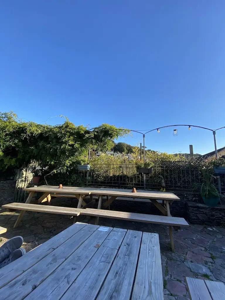 Mel Warren_Dolphin Inn_Newton Ferrers_review