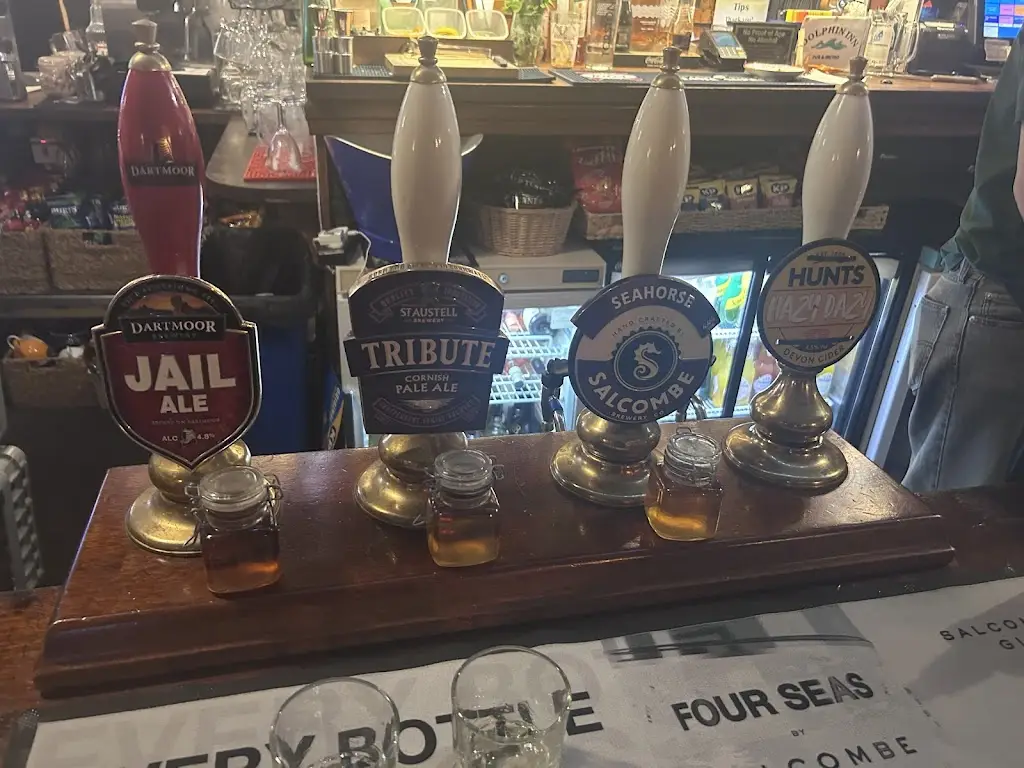 Simon Green_Dolphin Inn_Newton Ferrers_review