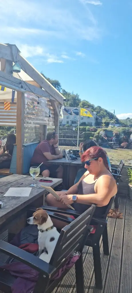 rupert firminger-mathieu_The Swan Inn_Newton Ferrers_review