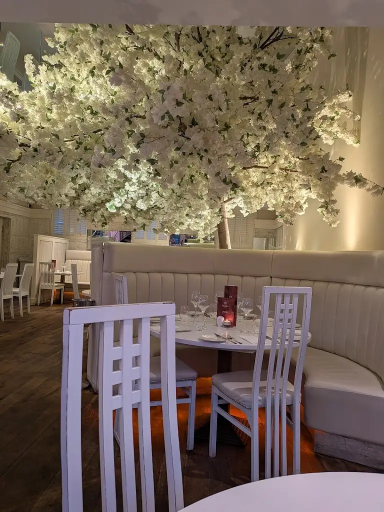 Stephen McSpadden_Branches Restaurant_Newcastle upon Tyne_reseña