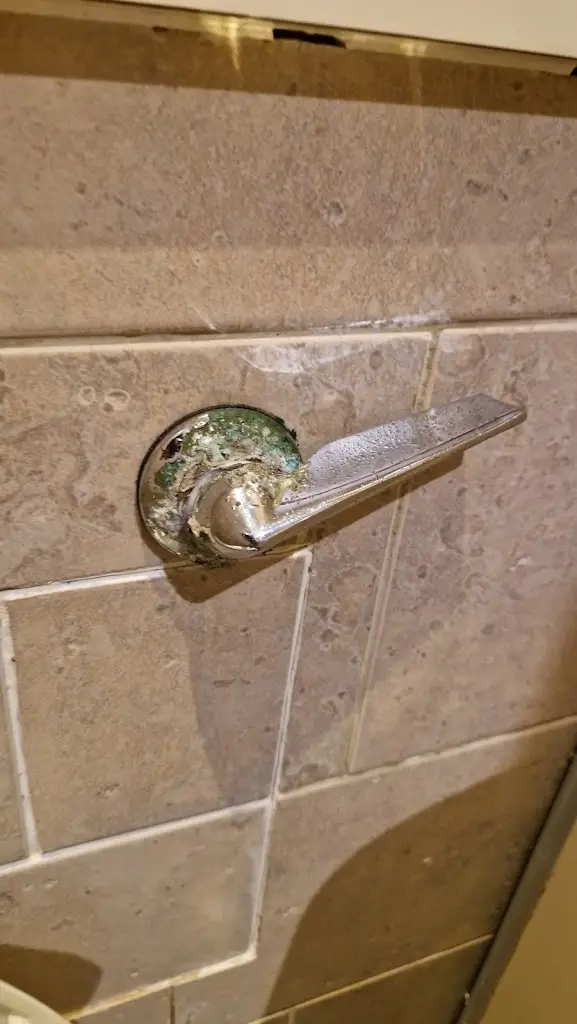 Karin Flower_Drove Brewers Fayre_Newhaven_review