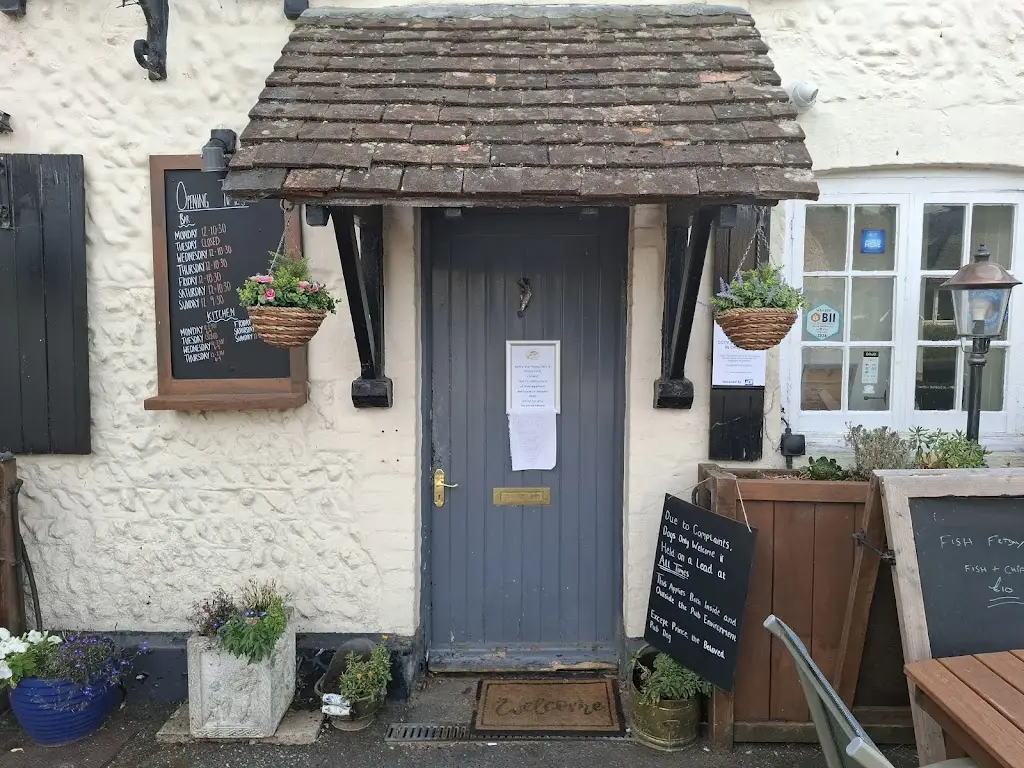 Hadrian Dugard_Flying Fish_Newhaven_review