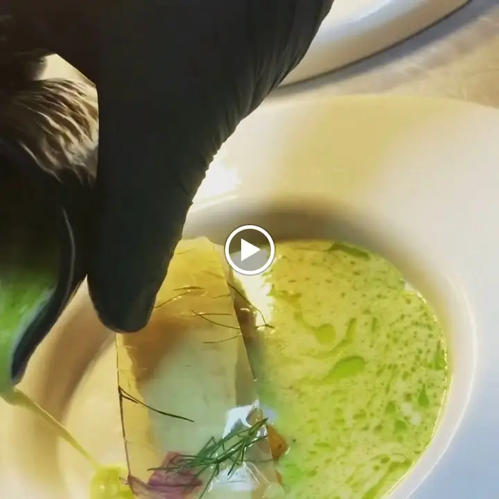 Gem 42_Newport_slider_image_2