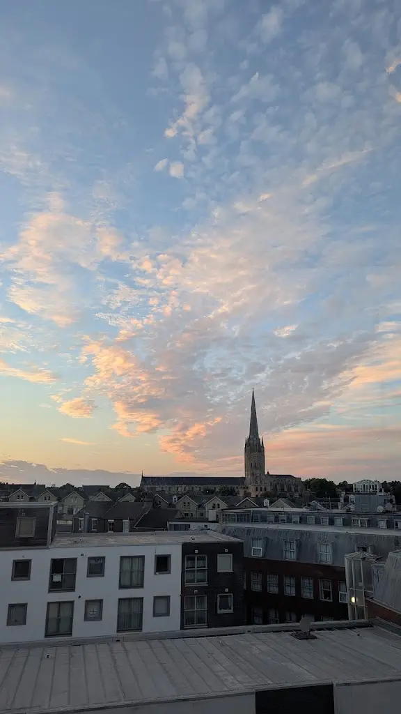 Alice Sabrina King_Rooftop Gardens_Norwich_review