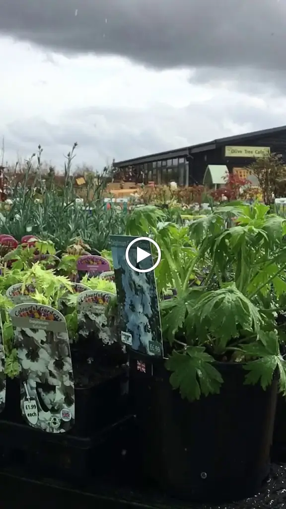 Oakington Garden Centre & Olive Tree Cafe_Oakington_slider_image_2