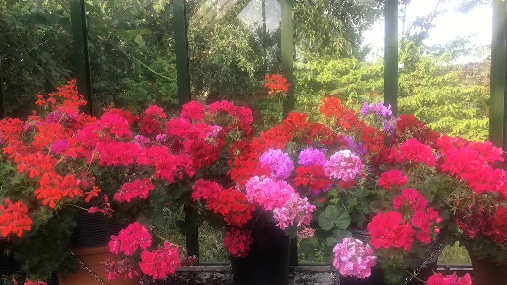 Oakington Garden Centre & Olive Tree Cafe_Oakington_slider_image_3