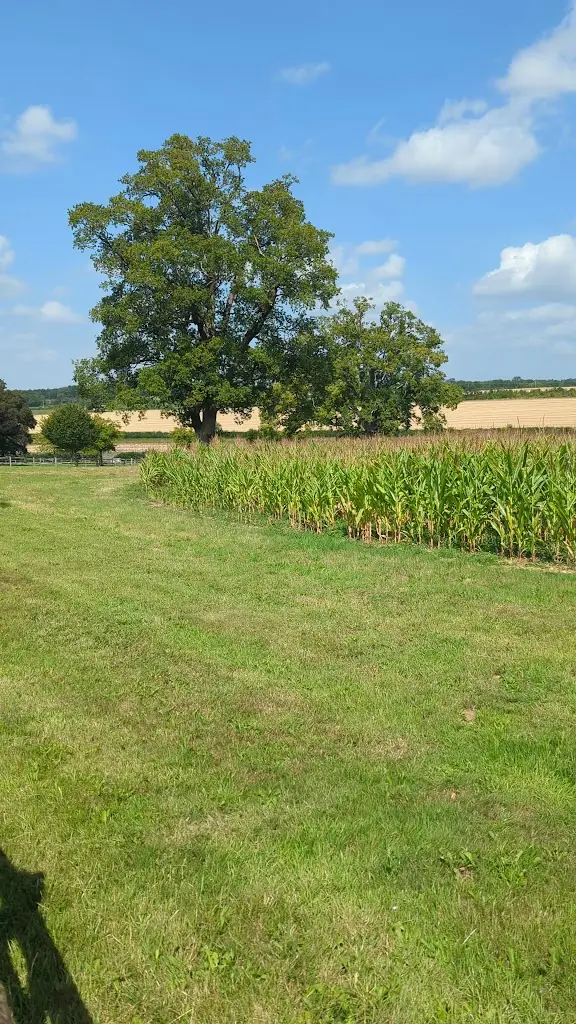 Will Jones_Oakley Hall Hotel_Oakley_review