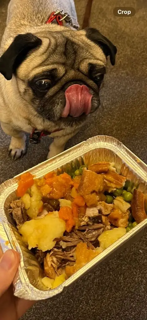 bev ralph_The Watts Arms_Ottringham_review