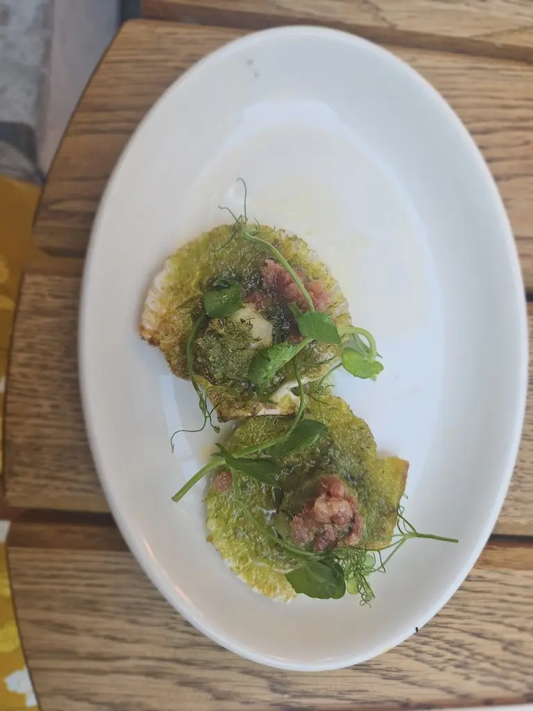 Silvia Vigasova_The Shed_Over_reseña