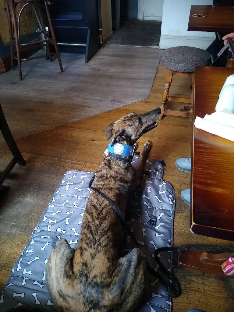 Jane Horbury_The Cock Inn_Oughtibridge_review