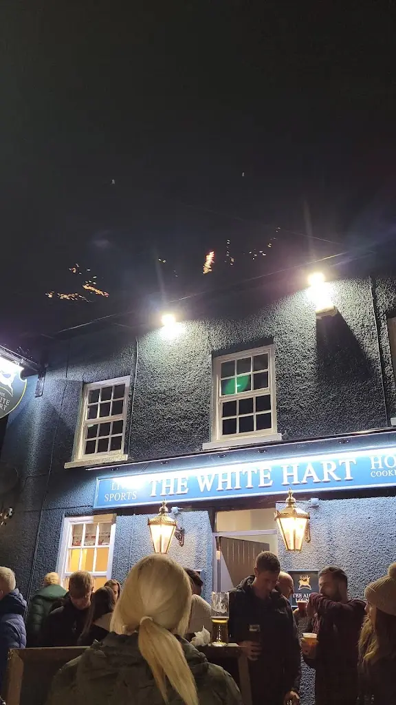 Darren Daniel_The White Hart_Owston Ferry_review