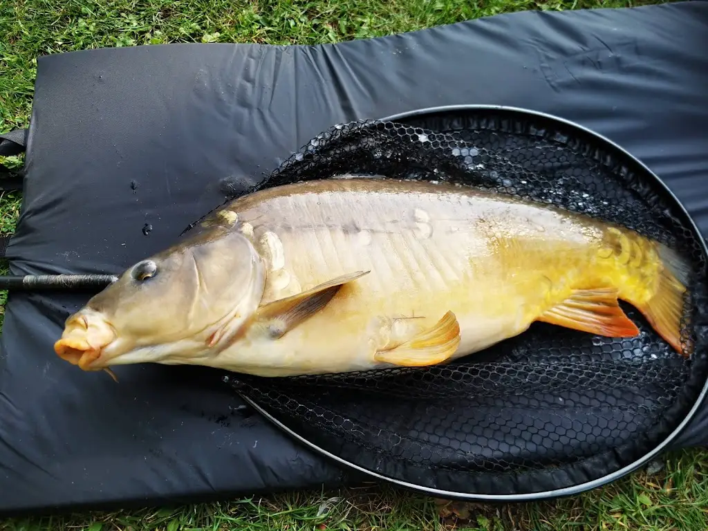 Menu_Owston ferry fisheries_Owston Ferry_image_1