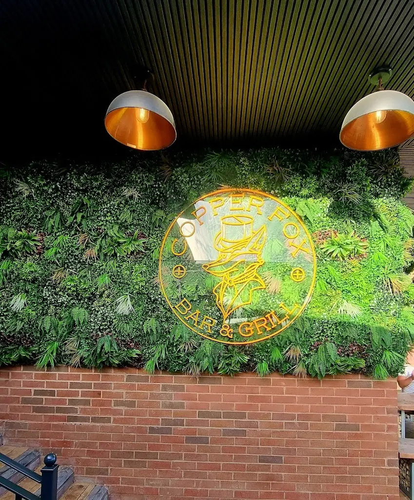 Marz Mistry_Copper Fox Grill_Bartley Green_review