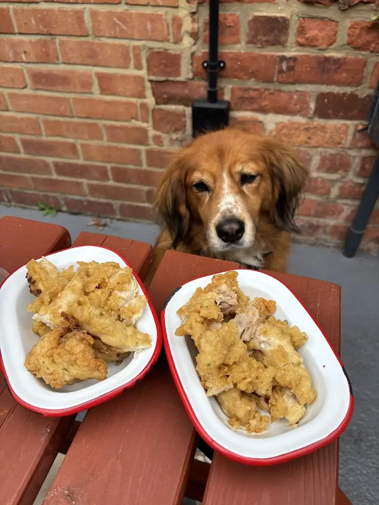 Sarah Edwards_The Koop_Northallerton_review