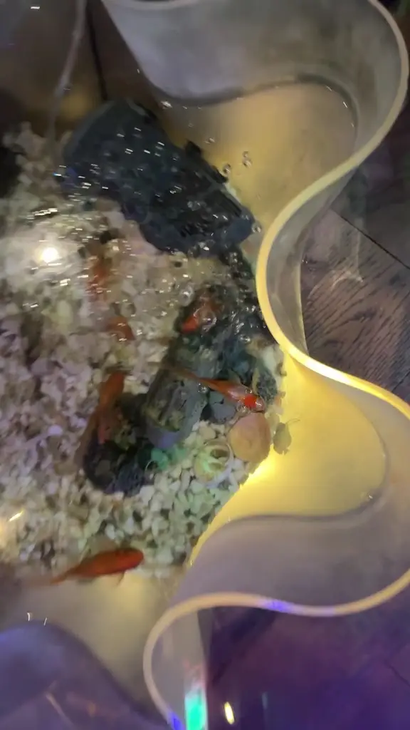 Lyubomir Georgiev _The Bombay Restaurant_Orpington_review