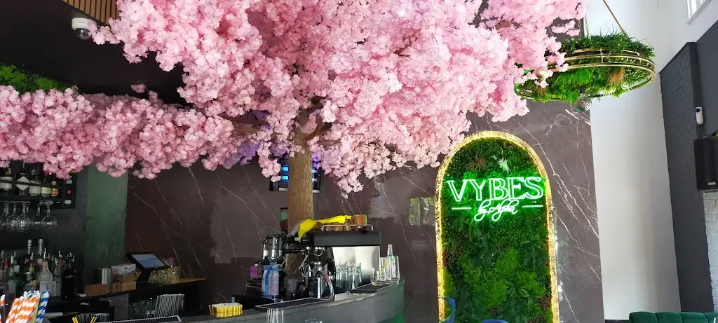 Anita Boye_Vybes by Alpha_Orpington_review